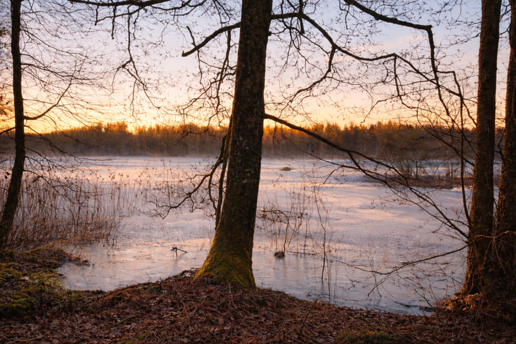 Vinterkväll vid Velen